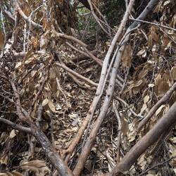 Der Weg wird immer spannender...