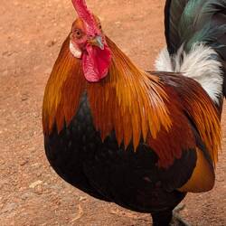 Aber nein... Heute nicht. 😉