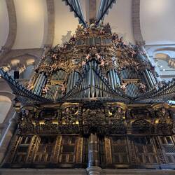 Organ
