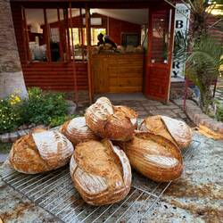 ...also das deutsche Kolonialwesen hat Qualität der Backwaren deutlich verbessert. Super lecker!