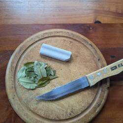 Koka blätter mit Süßstoff