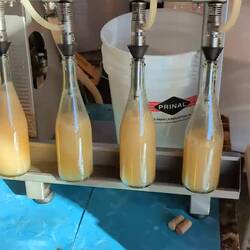 Wein abfüllen bei Jorge Cortal