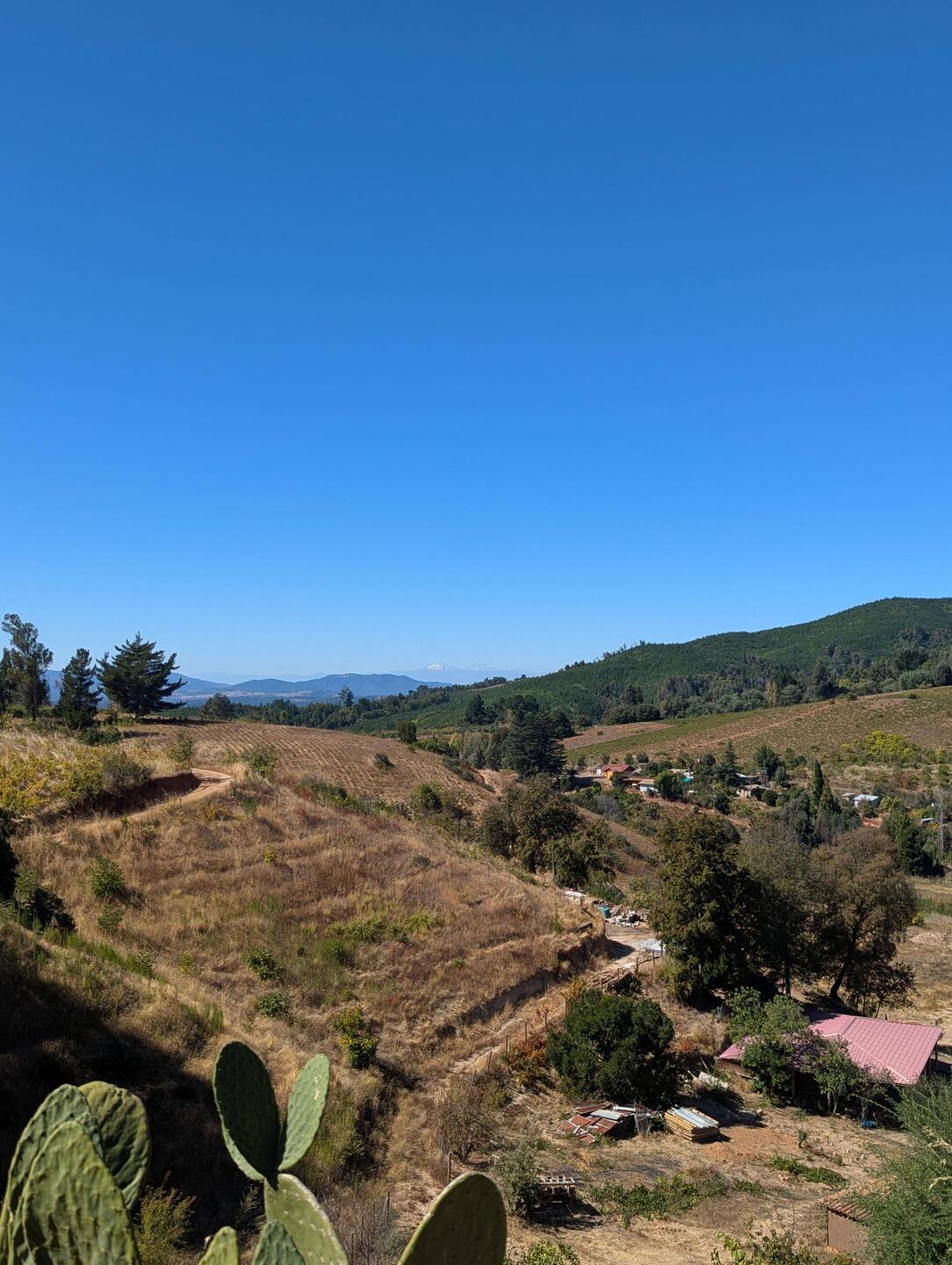 Aussicht vom Weingut