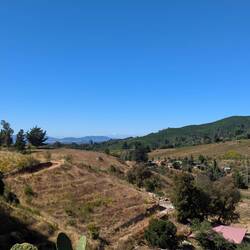 Aussicht vom Weingut