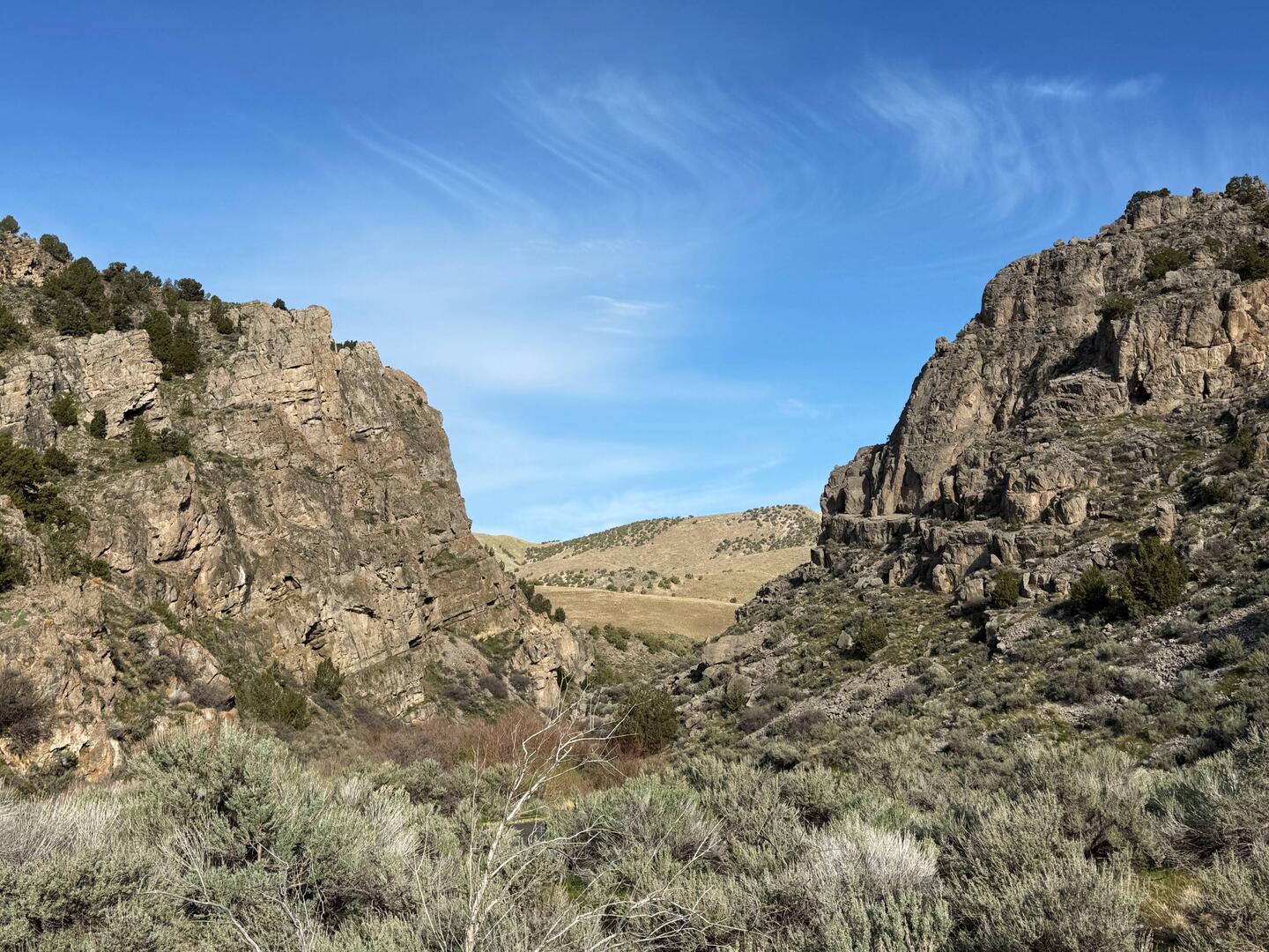 My wake-up view in Goshen Canyon