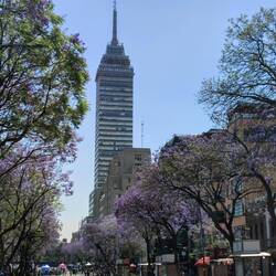 Avenida Juárez und Torre Latinoamericana
