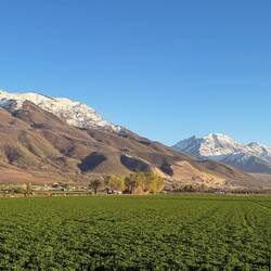 Drive to my Campspot