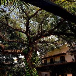 In the courtyard of the Inquisition Palace.