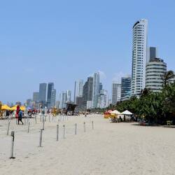 Beaches in the area with tall buildings of the city.