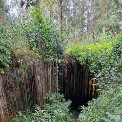 Entrance to the Kaumana Cave system: a lava tube created in 1881 by a flow from Mauna Loa.