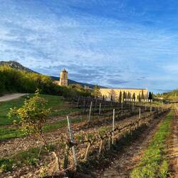 Bodega Irache