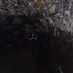 Mark's video of the inside of the cave.