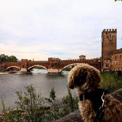 Ponte Scaligero