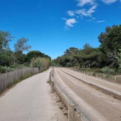 So ist recht! Autos im Schotter, Räder feiner Belag!
