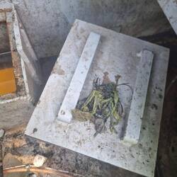 Yucky detritus from the weed hatch