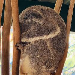 Wo ist der Anfang und wo das Ende? Wer erkennt es?