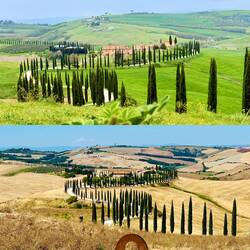 Frühling und Sommer