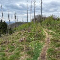 Ganz weit hinten unser Ziel