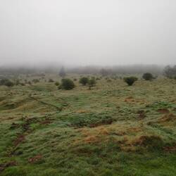 Begehbares Landschaftsgemälde