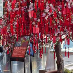 auch hier kann man seine Wünsche deponieren