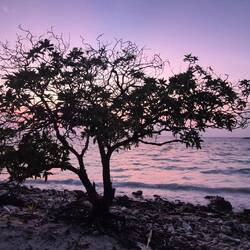 Was für Farben 🥹