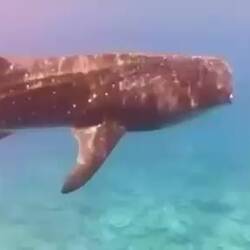 🥹🥹🥹🫶🫶🫶