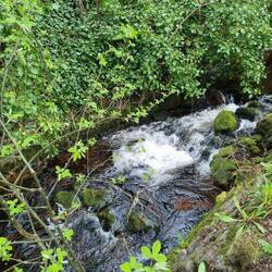 Es geht zum Abendbrotessen