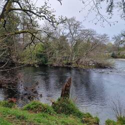 Immer am Fluss Ness entlang