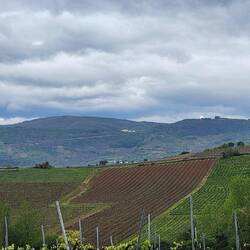 Sky is going to open and rain will pour. It is after all Good Friday.