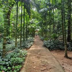 The spice garden
