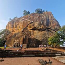 Lions rock