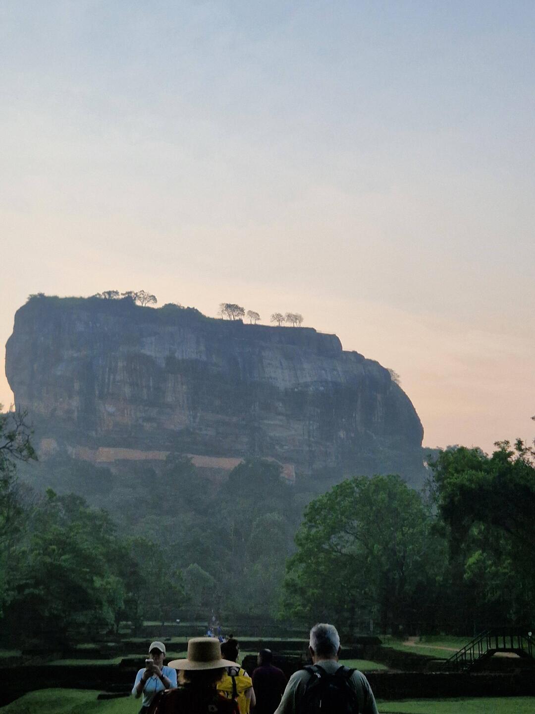 Lions rock