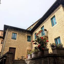 I feel like a cat is missing in this picture