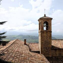 The pigeon is giving her everything