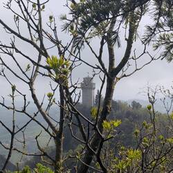 Playing Hide and Seek