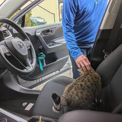 Hotel management greeted us at the car upon our arrival in Kaikoura