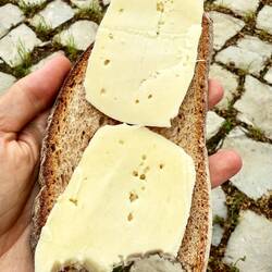 Mein Mittagessen sah eigentlich während den ganzen Ferien immer genau gleich aus.