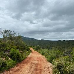 Heute war wieder so ein Tag, an dem es immer wieder angefangen hat zu regnen.