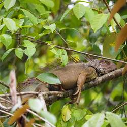 Boah, schon wieder Touristen