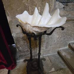 All the holy water receptacles were shells like this