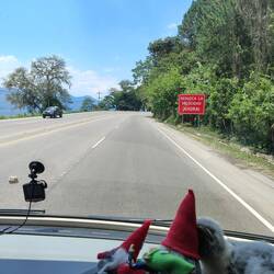 Das rote Hinweisschild sgt übersetzt: reduziere die Geschwindigkeit- JETZT!