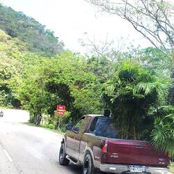 Auf diesen Pickups wird alles transportiert