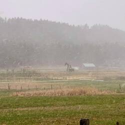 Blick vom Womo um 18:00 Uhr