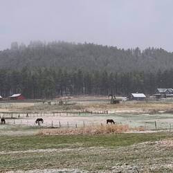 Blick vom Womo um 19:00 Uhr