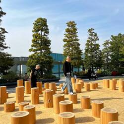 Tagterrassen på Ginza Six