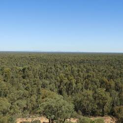The view over the Pilliga