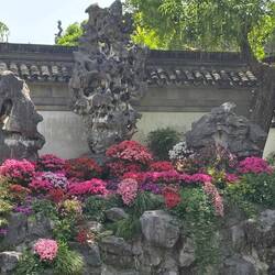 berühmte Steine (weil sie schon sehr alt & kunstvoll sind) zieren den Garten