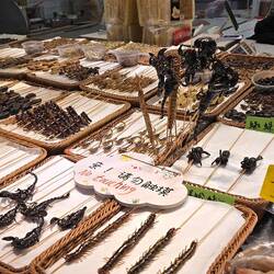 Köstlichkeiten für AbenteurerInnen