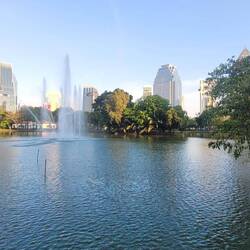 Lumphini Park, a beautiful green lung in a not so green city.