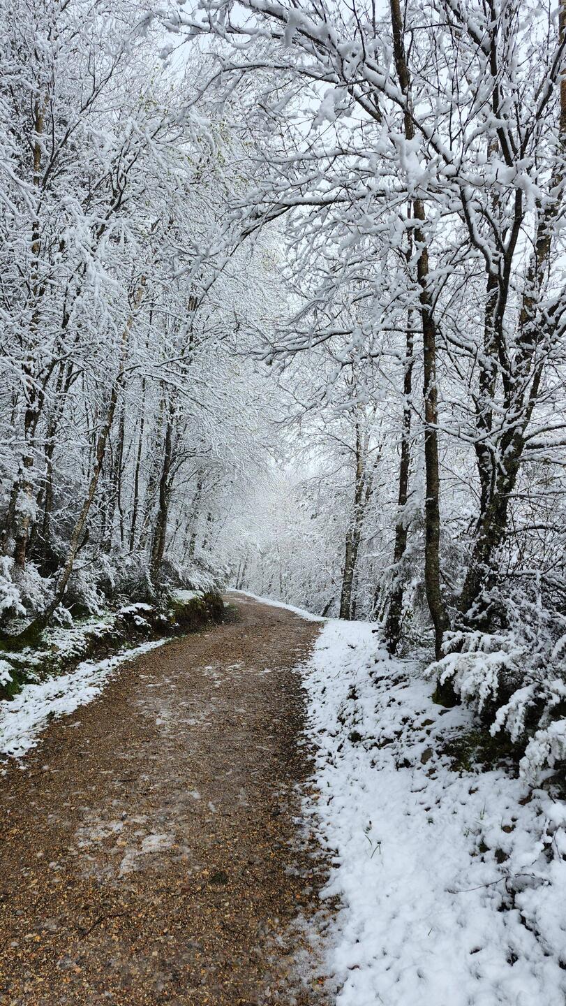 A winter wonderland 😒